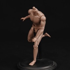 1/12 Scale Standard Male Body & Hands Model for 6″ Figure