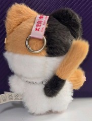 Baby Three Cats And Dogs 4.0 Series Calico Cat w/Special Eyes New Box + ID Card