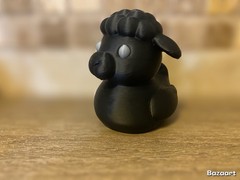 Black Sheep Duck