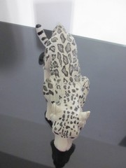 Mojo Fun Snow Leopard 2021 Wildlife Toy Figure