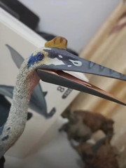 TNG Quetzalcoatlus Model Jurassic Dinosaur Animal Figure Toys Xmas Gift Decor