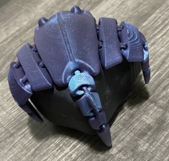 3d printed Manta Ray Animal Fish Ocean Articulated fidget Toy Kids Decoration