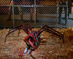 Neca 7″Scale The Thing Ultimate Dog Creature Action Figure In Stock