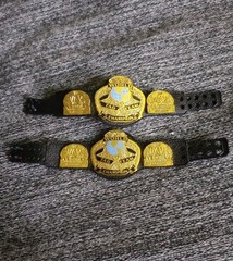 Mattel WWE Elite Shiny WCW Tag Team 2 Title Lot Championship Belts 1:12 Figures