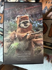 Hot Toys Star Wars: Return Of The Jedi Wicket 1/6th Scale Collectible Figure