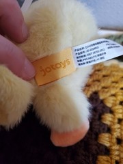 Q.Kid Animal Preschool Duck Kid