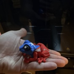 Puerto Rican frog, coquí 3D printed/ tree Frog collectible with hidden Mag.
