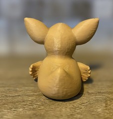 Chihuahua Duck