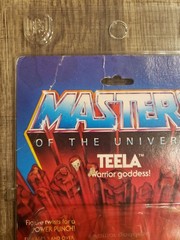 1983 Vintage Masters of the Universe Teela MOTU MOC Sealed + Figure Shield Case