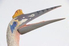 TNG Quetzalcoatlus Model Jurassic Dinosaur Animal Figure Toys Xmas Gift Decor