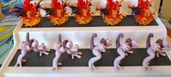 Officially licensed RARE Pokemon figurines, lot of 10 😀