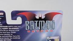 Batman Beyond Sonar Strike Batman (See Photos)