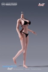 US ANT 1:12 Suntan Large Bust Plump Hip Girl 6″ Female Action Figure Body Toys