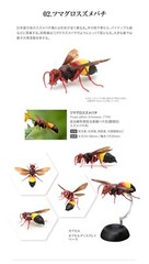 The Diversity of Life on Earth Potter Wasp Action Figure Bandai Capsule Toy
