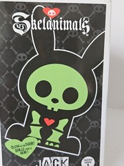 Lot Of 2 Skelanimals Glow In The Dark Jack and Maxx Collectible Vinyl Figures
