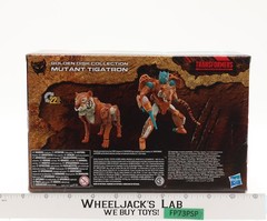 Golden Disk Collection Tigatron Transformers Kingdom WFC 2021 Hasbro NEW SEALED