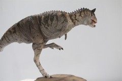 MEMORY MUSEUM 1/15 Carnotaurus Limited Edition Dinosaur Model Figure Toys Gift