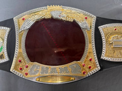 WWE Wrestling Champion Monday Night Raw Lights and Sound Belt Te