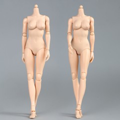1/6 Female Pale Skin Mid Breast Chest Super Flexible Body For 12″Figure Doll