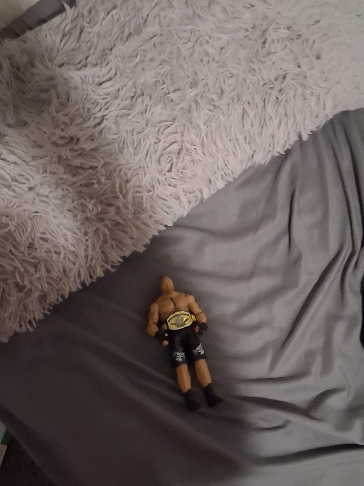 WWE Brock Lesnar Action Figure (HPM49)