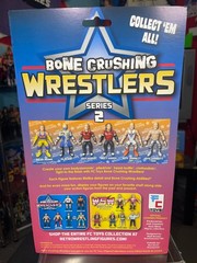 FC Toys Wrestling Bone Crushing Wrestlers Series 2 Jeff Jarrett Aztec Figure BCA