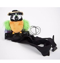 Toy Pirate Parrot