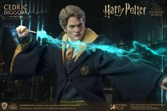 Harry Potter Goblet of Fire Cedric Diggory 1/6 Coll AF Deluxe V Star Ace