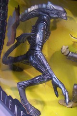 KENNER ALIENS VS PREDATOR 10in DELUXE ACTION FIGURES VINTAGE 1997 NEW 10th ANNIV
