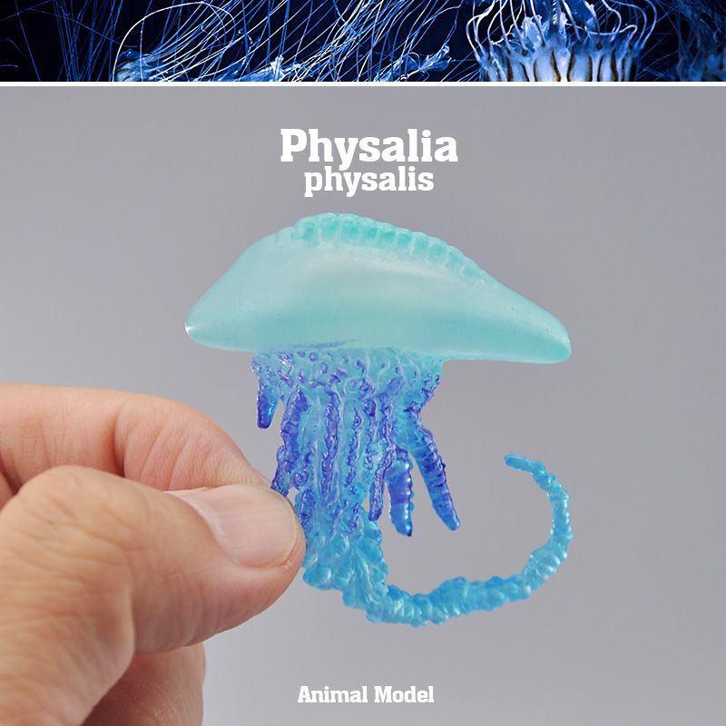 Simulated Animal Model Ocean the Pacific Portuguese Man-of-war Toy