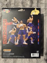 Storm Arena Street Fighter Alpha 3 Sagar 1/12 Action Figure Brand New