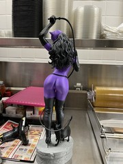Catwoman Knight Fall