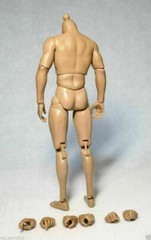 ZC Toys 12″ Muscular Male Action Figure Body Fit 1/6 Scale Hot Toys Head Sculpt