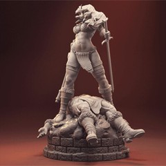 1/6 37cm Red Sonja 3D print figure Model Kit Unpainted Unassembled Garage Kit