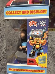 WWE X Garbage Pail Kids Figures Complete Set Andre Stone Cold Warrior Savage