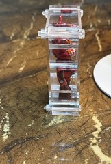 Bape Camo Tiger Red Shark Bearbrick 100% Medicom Be@rbrick Orphan A Bathing Ape