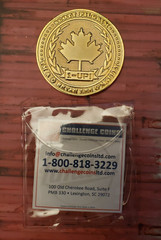 SCOTT PILGRIM vs the World Gold 1 Up Extra Life Challenge COIN Oni Press