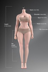 T307 1/6 Female Makeup Detail Body Fitness Plump muscle Bust 12″ Action Figure
