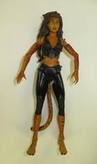 Cheetah Modern Mattel DCUC 6″ Action Figure 2009 DC Universe Classics