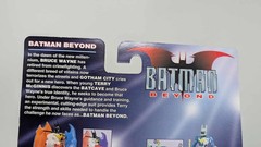 Batman Beyond Blight (See Photos)