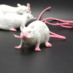 Lifelike Fake Rat Mouse Model Prank Toy Halloween Party Decor
