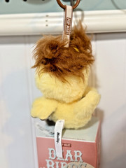 Pop Mart Dear Birds Series – Baby Molly My Sweet Trouble Plush Keychain – Open