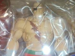 Storm Arena Street Fighter 3 Zero Alpha Sagat Special Exclusive 7.5″ Figure 2026
