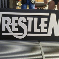 WWE Mattel Large 12 X 3 White WrestleMania Logo Accessory