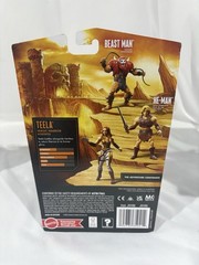 Masters of the Universe Mekaneck Skeletor Skel-Knight He-Man Beast Man & Teela