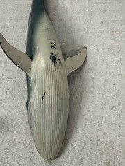 Schleich Blue Whale Sea Life Animals Figure Models 2012