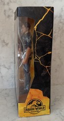 Jurassic World Amber Collection Owen Grady (Chris Pratt) 6 Inch Action Figure