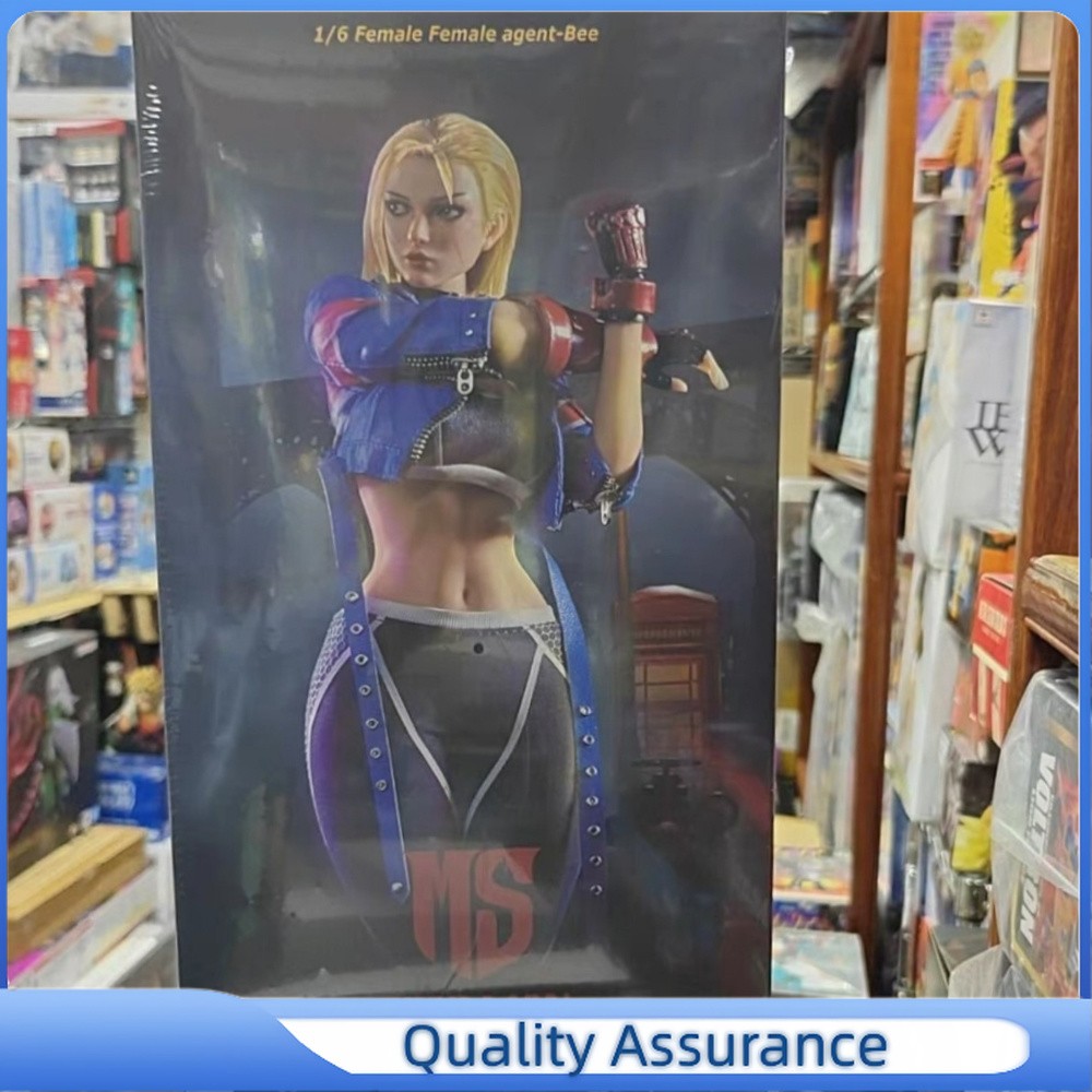 In Stock STAR MAN MS-012 1/6 Street Girl Female Fighter 6 Cammy 12″ Figure New