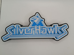 Retro Silverhawks logo lightbox sign light box Silver Hawks collection display