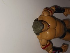 2004 TATANKA Jakks Pacific WWE Ruthless Aggression Series 23 Wrestler Figure