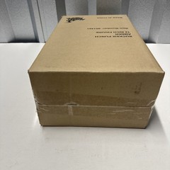 Sealed Hot Toys Amber 1/6 Scale Figure SUCKER PUNCH In Shipper